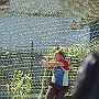 1756324_Jelag-photo_17052009