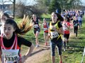 397-009030-JeLag-22012017  WWW.JELAG-PHOTO.COM