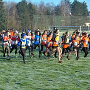 A - Benjamine
