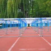 DIvers, Jury, Coach, Ambiance...