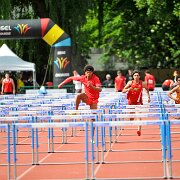 110 m haies - Garcon