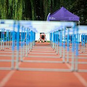 110 m haies- Homme